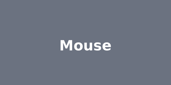 Mouse for Home Office 2026